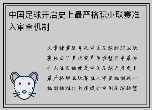 中国足球开启史上最严格职业联赛准入审查机制