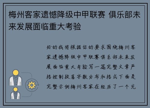 梅州客家遗憾降级中甲联赛 俱乐部未来发展面临重大考验